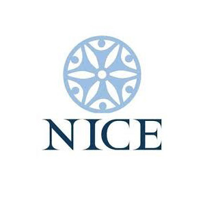 Nice logo