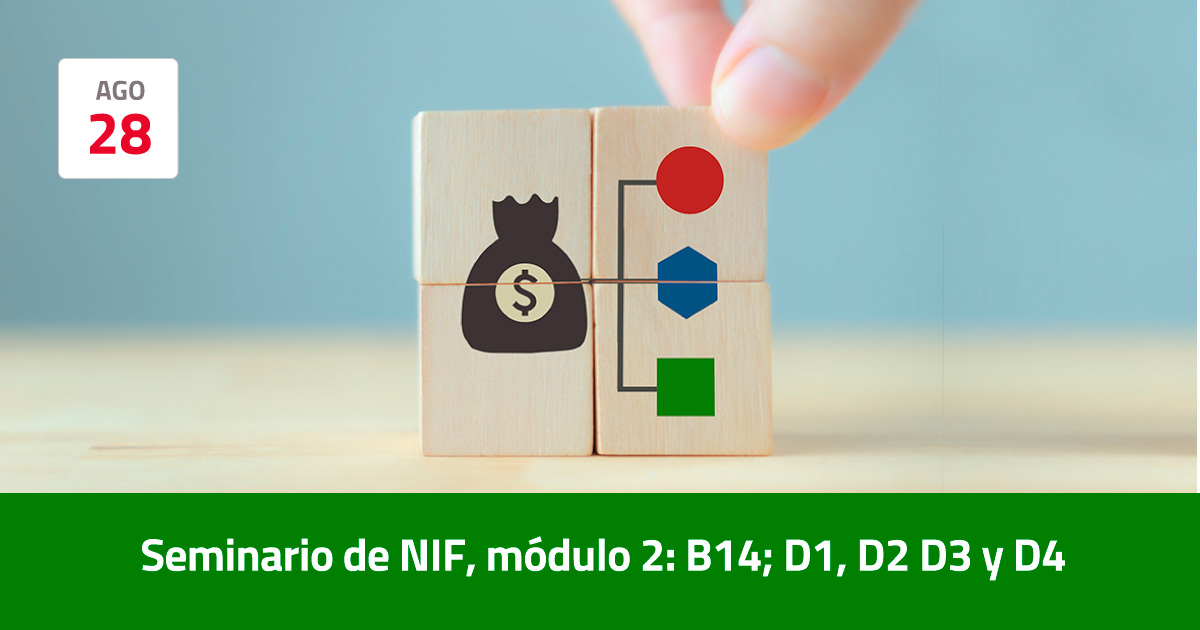 Seminario de NIF, módulo 2: B14; D1, D2 D3 y D4