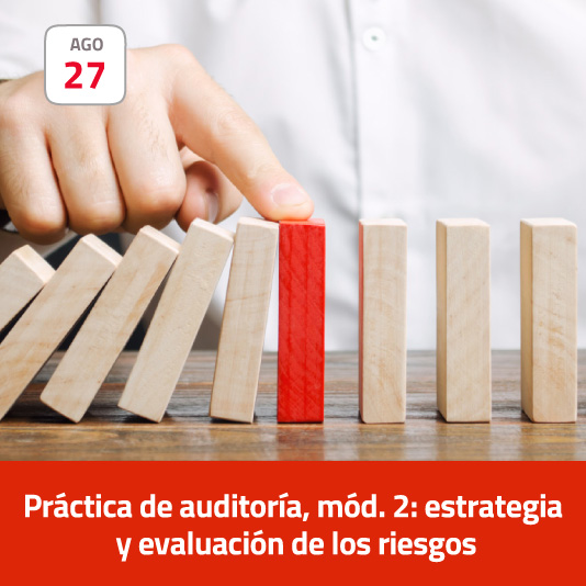 Práctica de auditoría, mód. 2: estrategia y evaluación de los riesgos