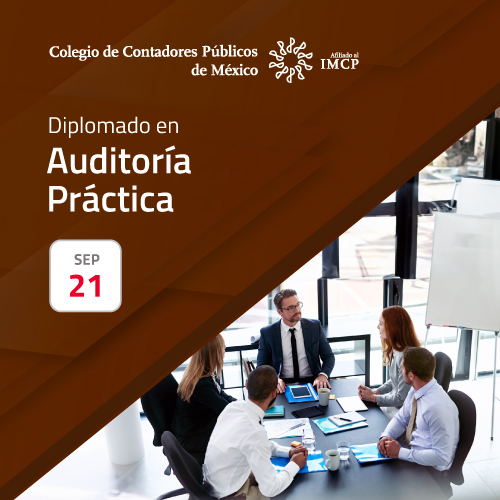Diplomado en Auditoría Práctica