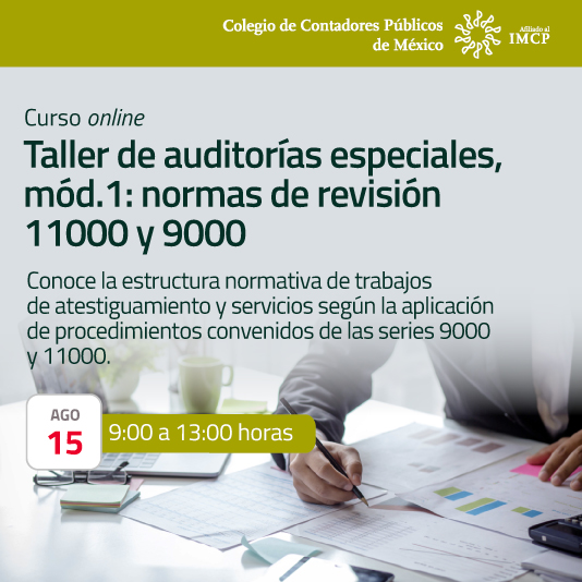 Taller de auditorías especiales, mód.1: normas de revisión 11000 y 9000