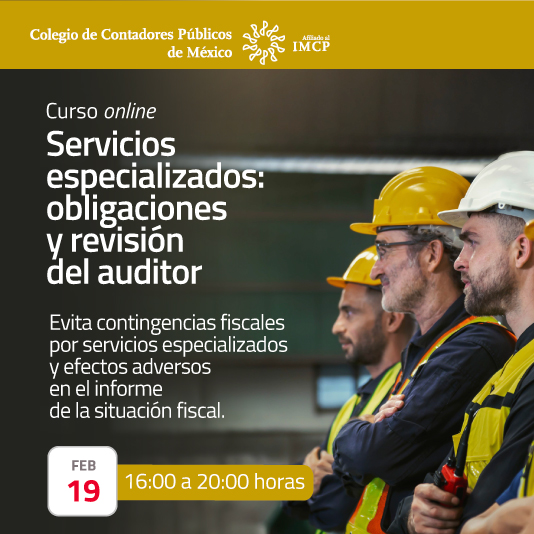 Servicios especializados: obligaciones y revisión del auditor