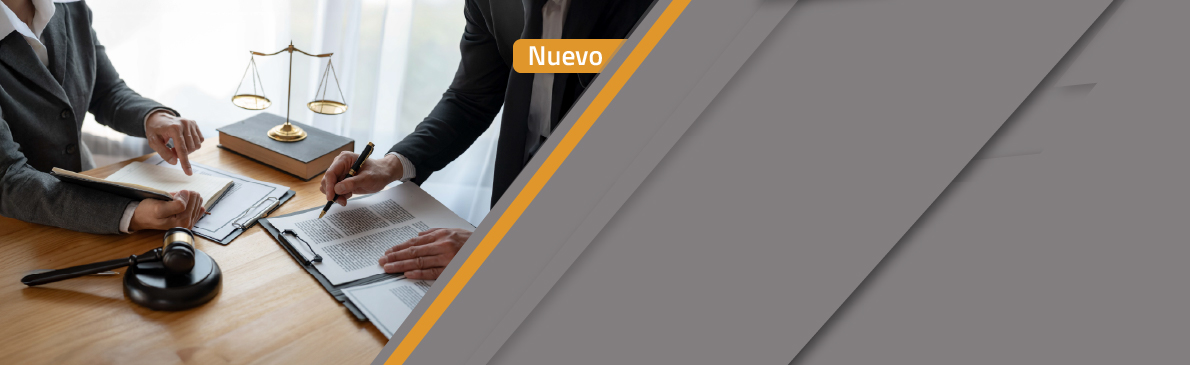 Diplomado en Formación y Actualización del Perito Contable