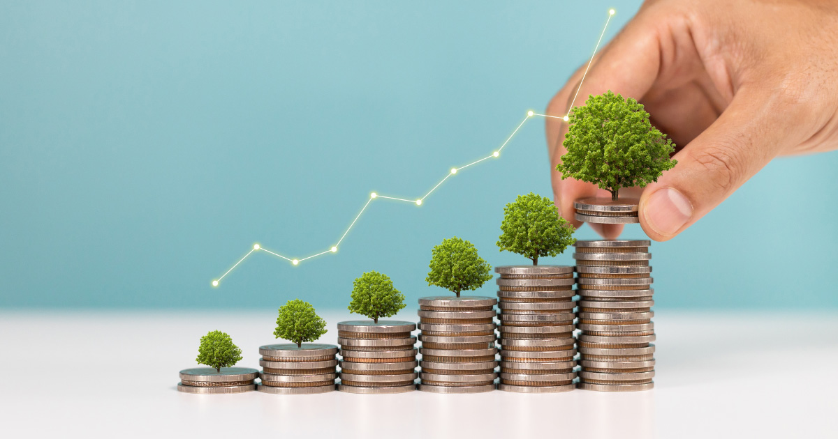 Sostenibilidad, revelación en estados financieros (NIS 1 y 2)