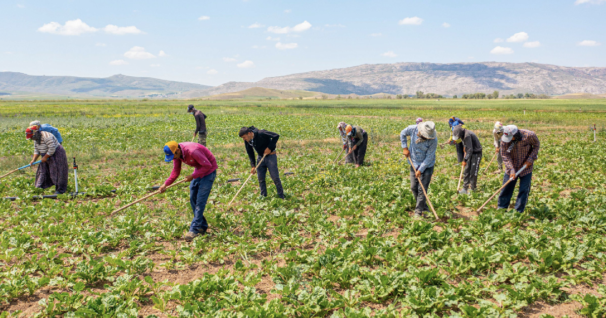 Trabajadores del campo y la seguridad social