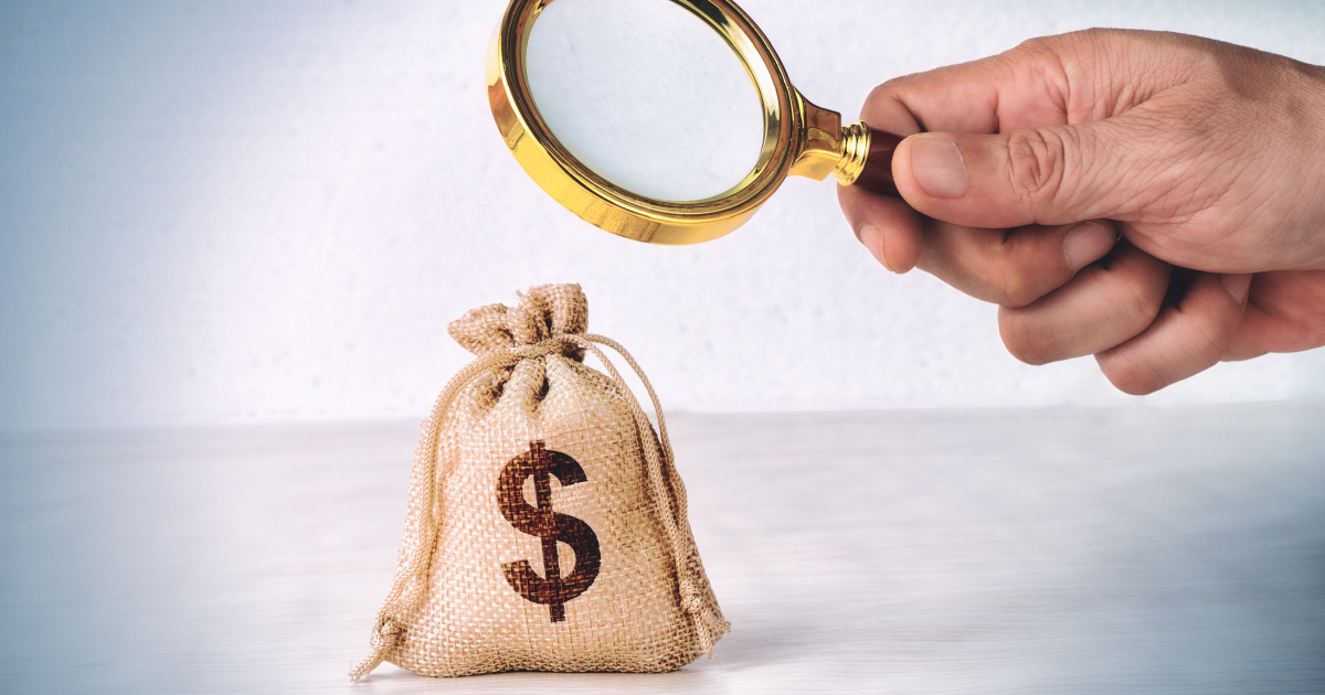 Fiscalización y evasión fiscal