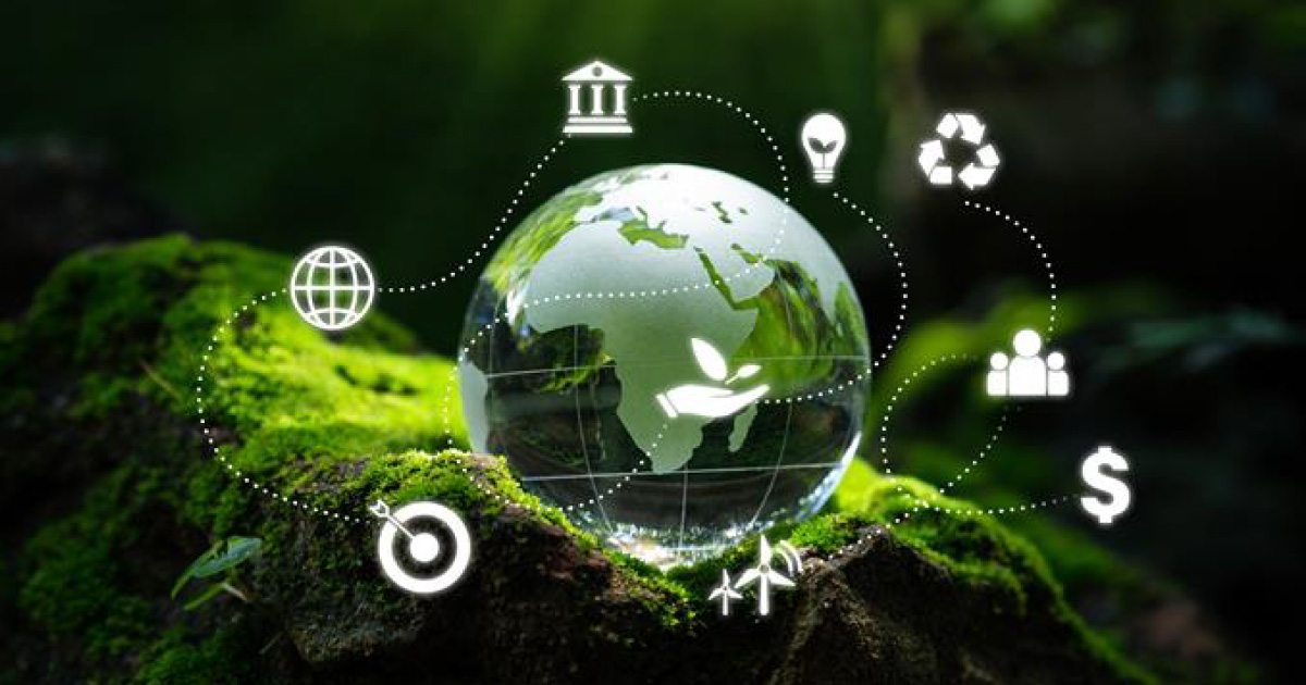 Reporteo con métricas sostenibles