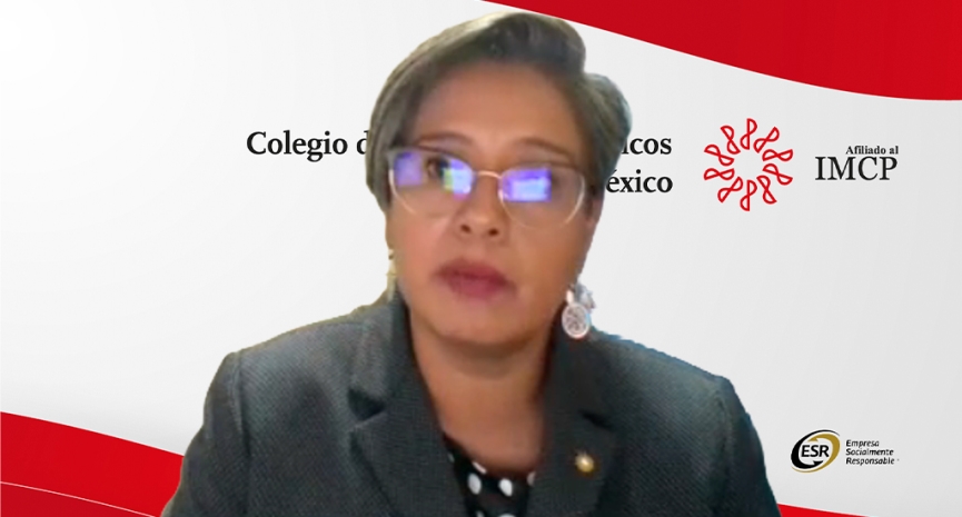 30.ª Semana de apoyo al ejercicio independiente: responsabilidad profesional