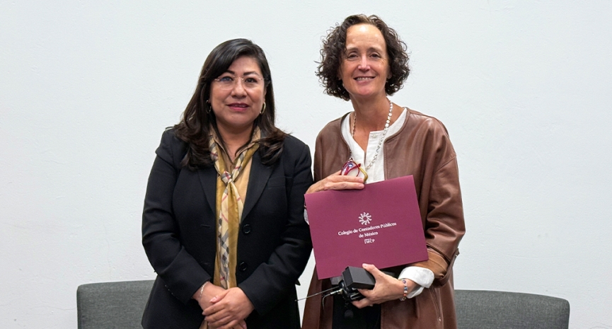 Acciones del CINIF para promover las NIS