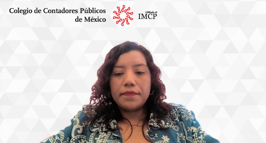 Aplicación de las NIA 570 y 540 en la evaluación del negocio en marcha