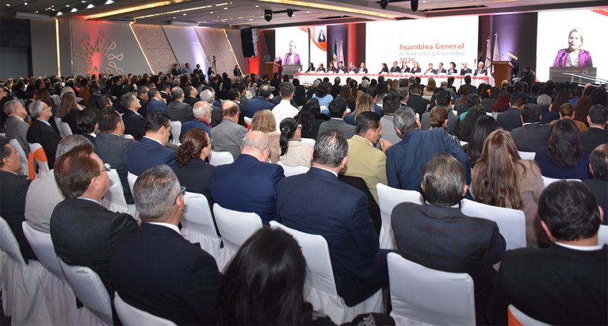 Asamblea General 2026: rendición de cuentas y continuidad dentro del Colegio