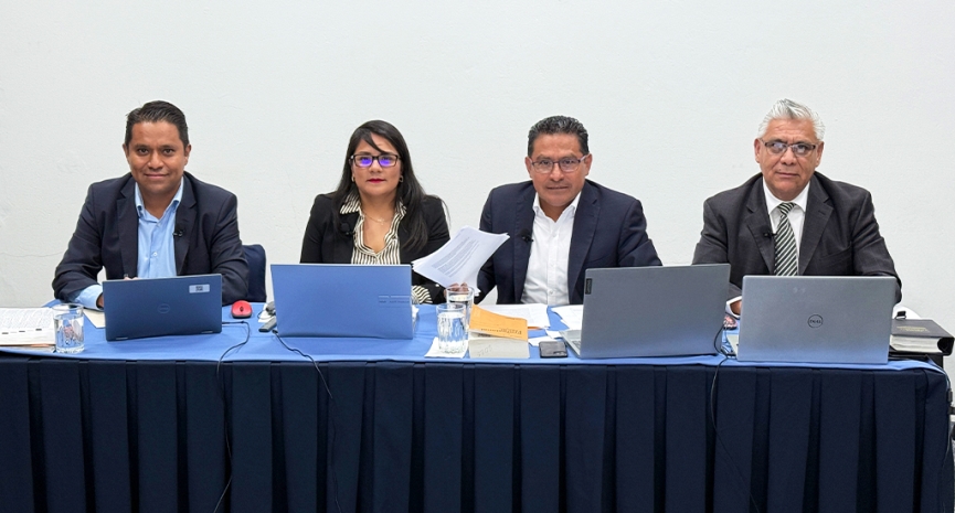 Consideraciones para la elaboración de dictámenes por fusión y escisión