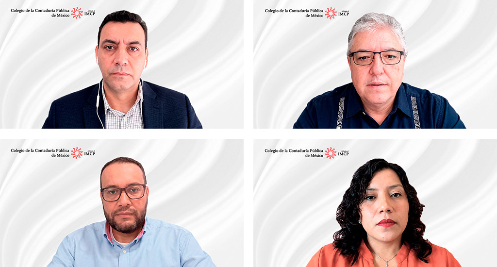 Especialistas analizan la labor del auditor financiero en sostenibilidad