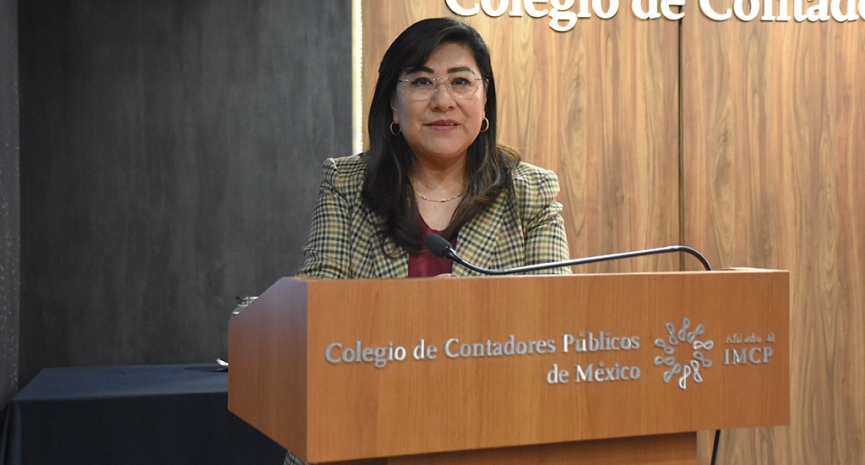 Auditoría: temas selectos y aspectos clave para su práctica