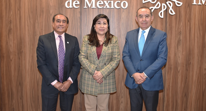 Auditoría: temas selectos y aspectos clave para su práctica