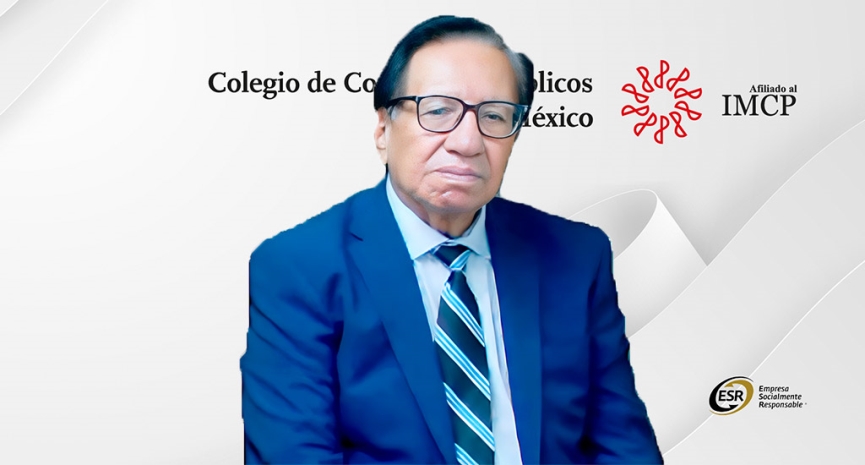 Pericial contable sobre la materialidad de operaciones cuestionadas