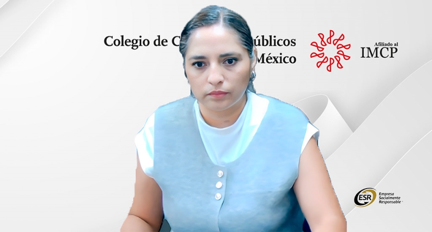 Pericial contable sobre la materialidad de operaciones cuestionadas