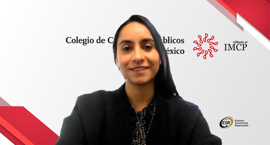 Reporte de sostenibilidad: aplicación de la NIS B-1 en aspectos sociales y de gobernanza